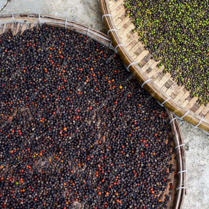 Best Pepper in Wayanad Kerala